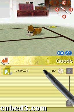 Screenshot for nintendogs on Nintendo DS