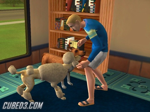 Screenshot for The Sims 2 Pets on GameCube