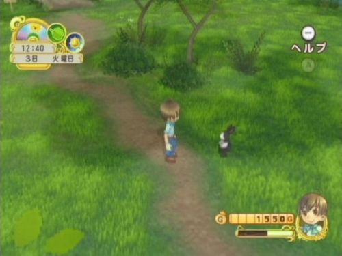 wii harvest moon tree of tranquility rom