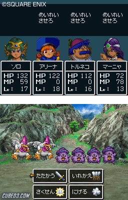 Screenshot for Dragon Quest IV: The Chapters of the Chosen on Nintendo DS