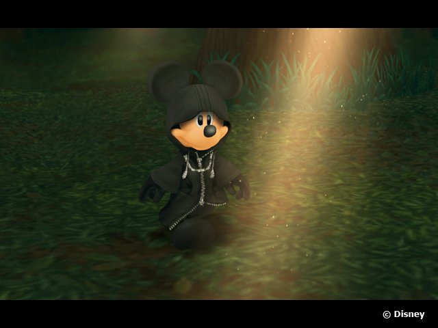 Screenshot for Kingdom Hearts 358/2 Days on Nintendo DS