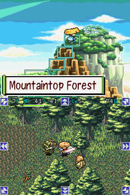 Screenshot for Mystery Dungeon: Shiren the Wanderer on Nintendo DS