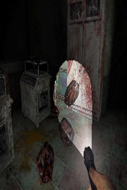 Screenshot for Dementium: The Ward on Nintendo DS