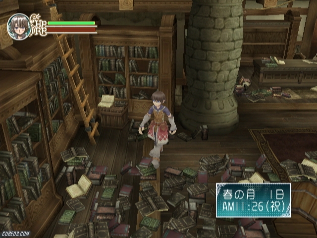 Screenshot for Rune Factory Frontier on Wii