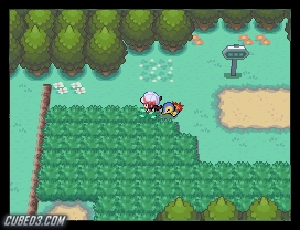 Pokémon HeartGold Version on (Nintendo DS): News, Reviews, Videos & Screens  - Cubed3