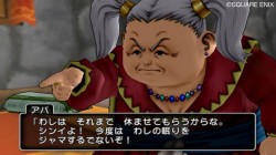 Screenshot for Dragon Quest X Online - click to enlarge