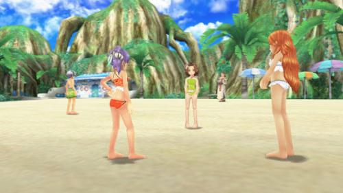 Image for Swimsuit Fun in Rune Factory Oceans (Wii)