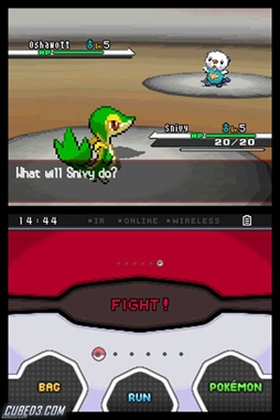 Screenshot for Pokémon Black / White on Nintendo DS