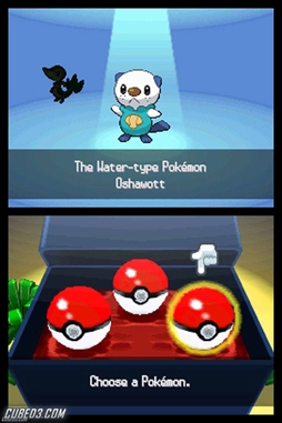 Screenshot for Pokémon Black / White on Nintendo DS