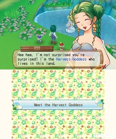 Screenshot for Harvest Moon 3D: A New Beginning on Nintendo 3DS