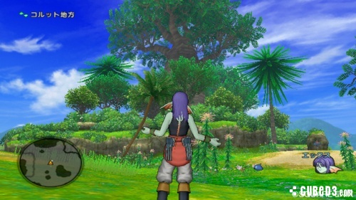 Image for Dragon Quest X Box Art and Screens