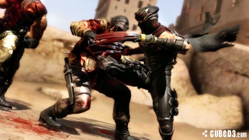 Image for E3 2012 Media | Ninja Gaiden 3 - Wii U Screenshots