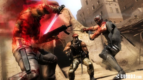 Image for E3 2012 Media | Ninja Gaiden 3 - Wii U Screenshots