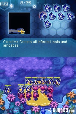 Screenshot for Amoebattle on Nintendo DS