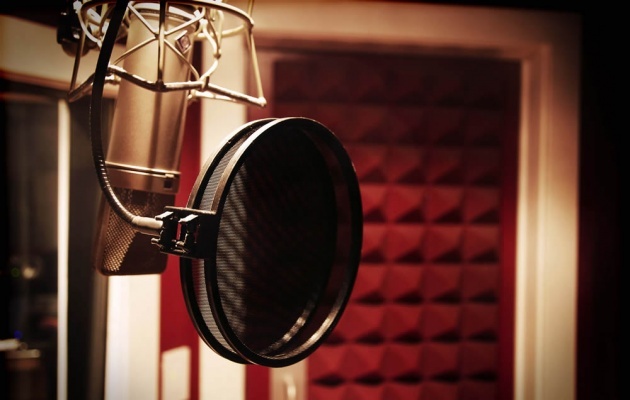 Image for Interview | The Ins and Outs of Voice Acting: The Voice Realm