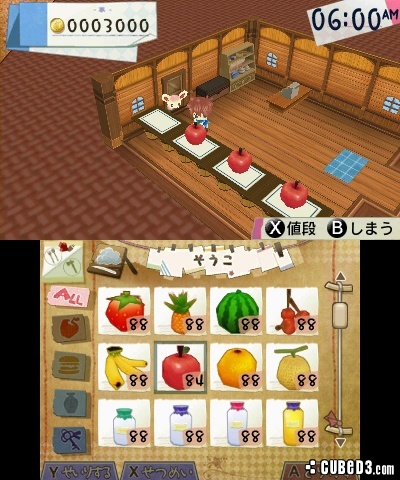 Screenshot for Hometown Story on Nintendo 3DS