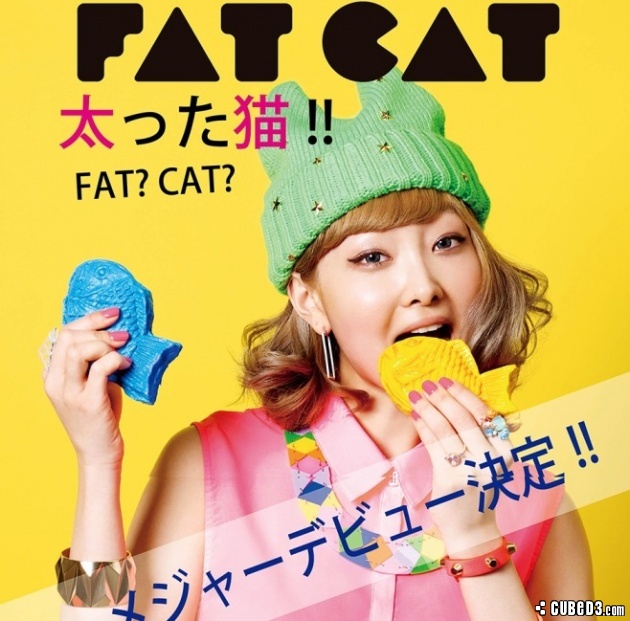 Image for Feature | MusiCube: K-Pop Korner Interviews Fat Cat