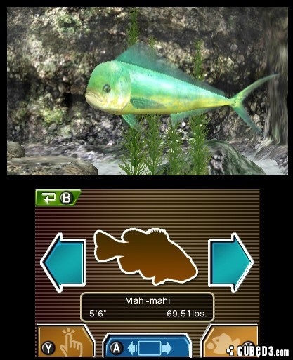 Screenshot for Reel Fishing Paradise 3D on Nintendo 3DS