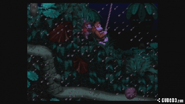 Screenshot for Donkey Kong Country on Super Nintendo