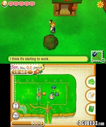 Screenshot for Story of Seasons on Nintendo 3DS