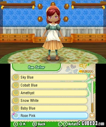 Screenshot for Story of Seasons on Nintendo 3DS