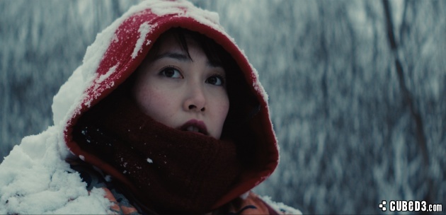 Image for Feature | Lights, Camera, Action! – Kumiko, The Treasure Hunter (Movie Review)