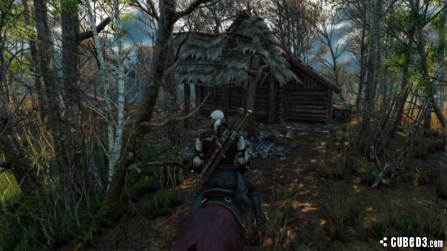 Screenshot for The Witcher 3: Wild Hunt on PC