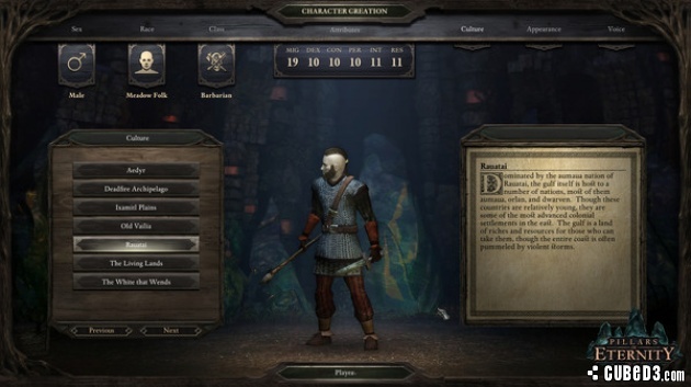 Screenshot for Pillars of Eternity on PC