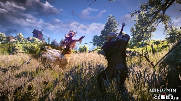 Screenshot for The Witcher 3: Wild Hunt on PlayStation 4