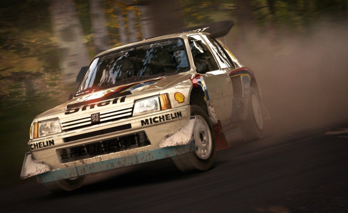 Screenshot for DiRT Rally on PlayStation 4