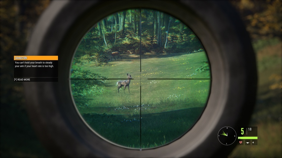 Screenshot for theHunter: Call of the Wild on PC