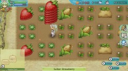 Screenshot for Rune Factory 4 Special - click to enlarge