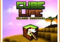 Read review for Cube Life: Island Survival - Nintendo 3DS Wii U Gaming