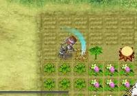 Review for Rune Factory 2: A Fantasy Harvest Moon on Nintendo DS