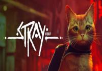 Review for Stray on PC