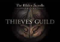 Read review for The Elder Scrolls Online: Tamriel Unlimited - Thieves Guild - Nintendo 3DS Wii U Gaming