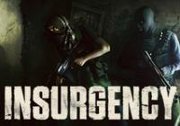 Review for Insurgency on PC