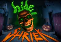Review for Hide and Shriek on PC
