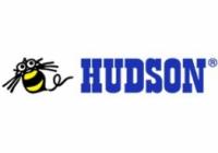 Hudson To Work on DSiWare on Nintendo gaming news, videos and discussion