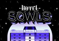 Read review for Hotel Sowls - Nintendo 3DS Wii U Gaming