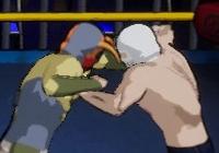 Read review for Chikara: Action Arcade Wrestling - Nintendo 3DS Wii U Gaming