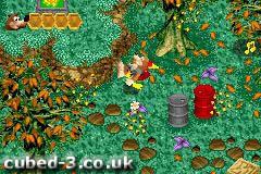 Screenshot for Banjo-Kazooie: Grunty's Revenge on Game Boy Advance