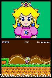 Screenshot for Super Princess Peach on Nintendo DS