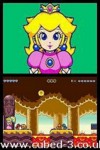 Screenshot for Super Princess Peach on Nintendo DS