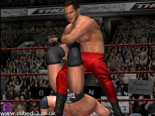 Screenshot for WWE Day of Reckoning on GameCube