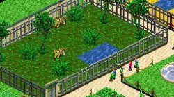 Screenshot for Zoo Tycoon DS - click to enlarge