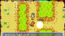 Screenshot for Pokémon Mystery Dungeon: Blue Rescue Team - click to enlarge