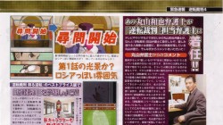 Screenshot for Apollo Justice: Ace Attorney - click to enlarge