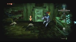 Screenshot for The Legend of Zelda: Twilight Princess - click to enlarge