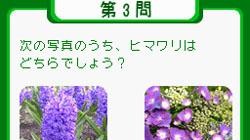 Screenshot for Wine no Hajimekata DS - click to enlarge